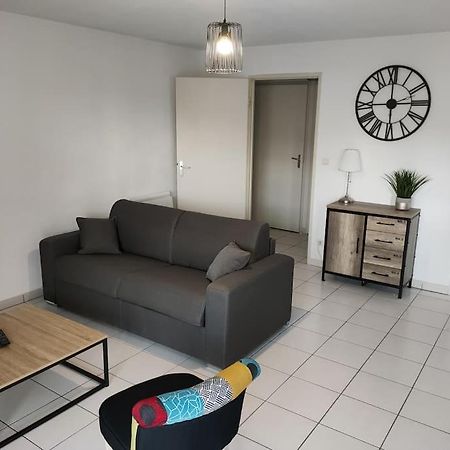 Spacieux Et Joli Appartement De 2 A 4 Personnes • Parking • Wifi Fenouillet  Exterior photo