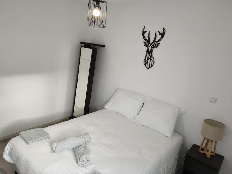 Spacieux Et Joli Appartement De 2 A 4 Personnes • Parking • Wifi Fenouillet  Exterior photo